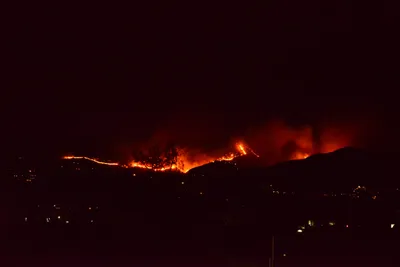 DSC_5623 (Large).JPG